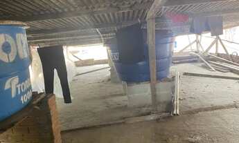 Imagem 3: São Torquato - Vendo Prédio com 3 Pavimentos, Todos Alugados, Ótima Localização e Renda!