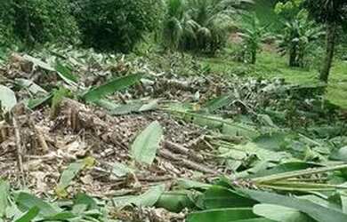 Imagem 2: Terreno em Figueiredo