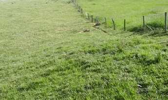 Imagem 2: Venda de chácara