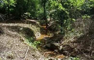 Imagem 6: SITIO 3 HECTARES | Á VENDA