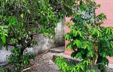 Imagem 5: Casa dois quartos perto do corujinha