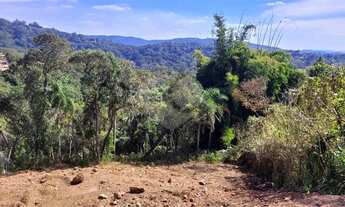 Imagem 2: Terreno à venda em Roseira - SP