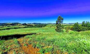 Imagem 8: Fazenda à venda, 907500 m² por R$ 8.000.000 100% regularizada - Guaraniaçu/PR