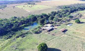 Imagem 4: Chácara de 03 alqueires em Bela vista-GO