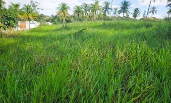 Imagem 3: TERRENO 1500MT² MARATAIZES- ES