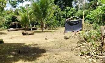 Imagem 2: Sítio em Presidente Figueiredo