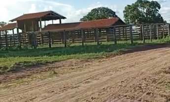 Imagem 3: Vende-se uma excelente fazenda de 1.100 hectares