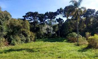 Imagem 5: Amplo terreno à venda em bairro residencial