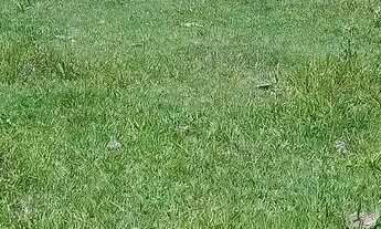 Imagem 2: Terreno 1000 m2 em Piracaia SP