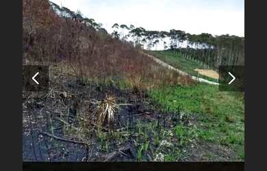 Imagem 7: Área em Bocaiúva do Sul/PR