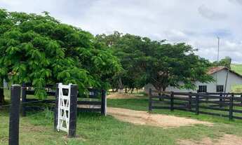 Imagem 5: Fazenda 52 alqueires, Uruaçu-Go