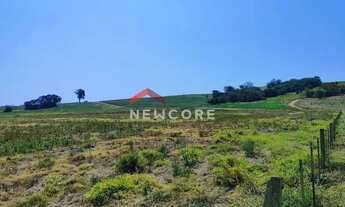 Imagem 4: Sítio em Praça da Bandeira - Área Rural de Itapetininga - Itapetininga/SP