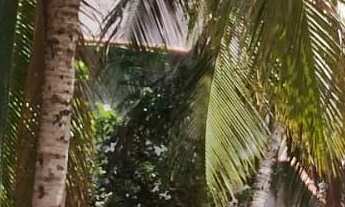 Imagem 7: Terreno localizado em Araruama/bananeiras