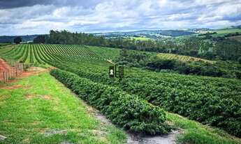 Imagem: Imóvel para venda tem 151000000 metros