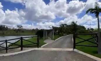 Imagem 4: FAZENDA 238 ALQUEIRES PIRINOPOLIS - GO