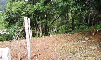Imagem 7: Terreno 1007 m2 na Cachoeira do Bom Jesus, 1km da praia
