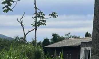 Imagem 3: Terreno na praia dos ingleses