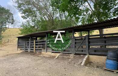 Imagem 14: Fazenda de 17 alq em Goias-GO