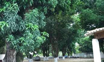 Imagem 7: VENDO UMA PEQUENA CHÁCARA NO BAIRRO PEQUIZEIRO PRÓXIMO AO HOSPITAL JÚLIO MULLER