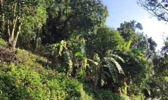 Imagem: Sítio / Chácara para Venda em Picada Café