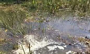 Imagem 5: Lotes 5 MIL-Entrada-Praia-Guarapari-Village do sol-Escriturado parcelo,-Qual sua proposta