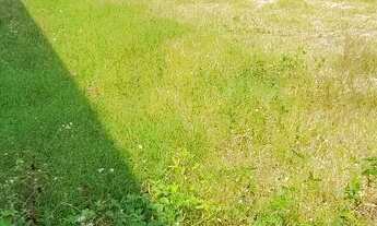 Imagem 5: Terreno para Venda no Recreio dos Bandeirantes