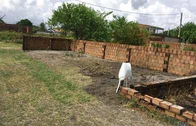 Imagem 2: Vendo Terreno em Catuama 8min da praia