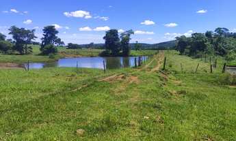 Imagem 4: Fazenda 36,0 alqueires em pecuária, 14 km de Ituiutaba MG