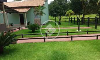 Imagem 3: FAZENDA NO MUNICIPIO DE FAINA GO codigo: 114155