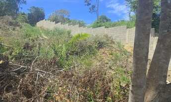 Imagem 5: Lote Escriturado 360m² em Ponta da Fruta - Entrada Facilitada! parcelo sem consulta