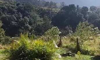 Imagem 2: Terrenos para venda com 500 metros quadrados em Vila São Domingos - São Roque - SP