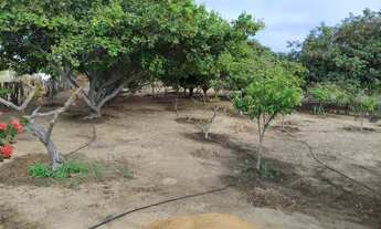 Imagem 5: Linda Chácara em Petrolina PE