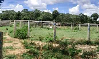 Imagem 4: Chacara Em Cocalinho-MT / Rio Araguaia / 100mt da Cidade