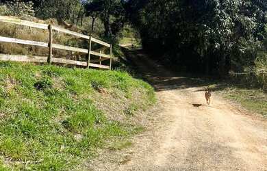 Imagem 3: Terrenos na cidade de São Roque - SP