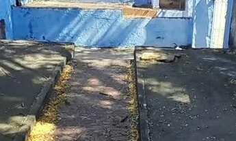 Imagem 5: Terreno 288m² em São Caetano do Sul R$ 890.000,00