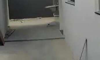 Imagem 7: Oportunidade de comprar