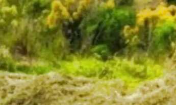 Imagem: Terrenos na cidade de São Roque - SP