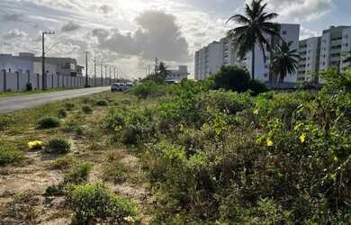 Imagem 2: Lote na Barra dos Coqueiros [26864
