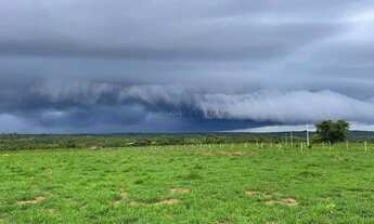Imagem 6: Fazenda de 150 hectares toda escriturada e em dia, na beira do lago do manso