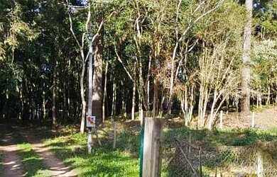 Imagem: Vende linda chácara São José pinhais