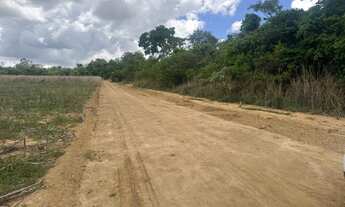 Imagem 4: Chácaras a venda parceladas 40km de Anapolis em Abadiânia!