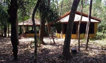 Imagem 6: Pesqueiro em rio negro ms troca por carro ou imovel!