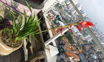 Imagem 6: Vendo Cobertura Duplex Mobiliada - Saúde - Prox. Metro Pça da Àrvore com Piscina
