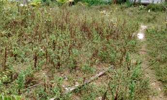 Imagem 2: Venda de terreno em barra de jacuipe