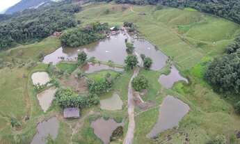 Imagem 4: Vendo Sitio com ampla Infra Estrutura em Massaranduba/sc