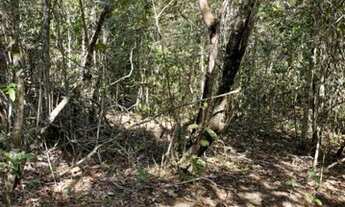 Imagem 6: Chácaras de 1.000m2 em Crominia a 70 km de Goiânia