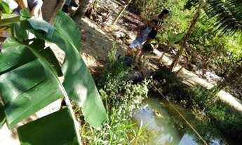 Imagem 5: Vede se uma chácara 2700 metros 220 mil