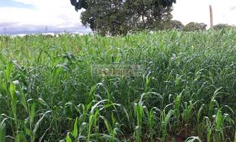 Imagem 2: Vender ou comprar sua chácara ou Fazenda