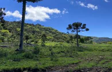 Imagem 3: SÍTIO - FAZENDA - À VENDA EM URUBICI