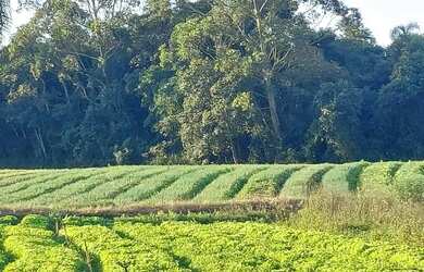 Imagem 4: Loteamento com vista panoramica a venda em ibiúna
